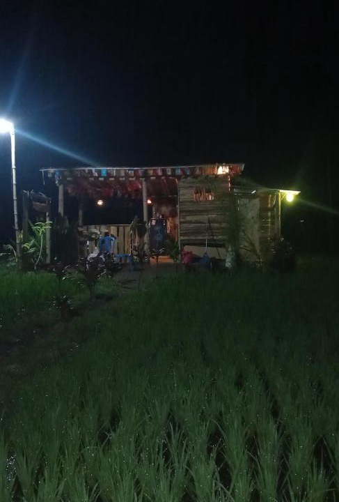 Photo of Others in Tetebatu