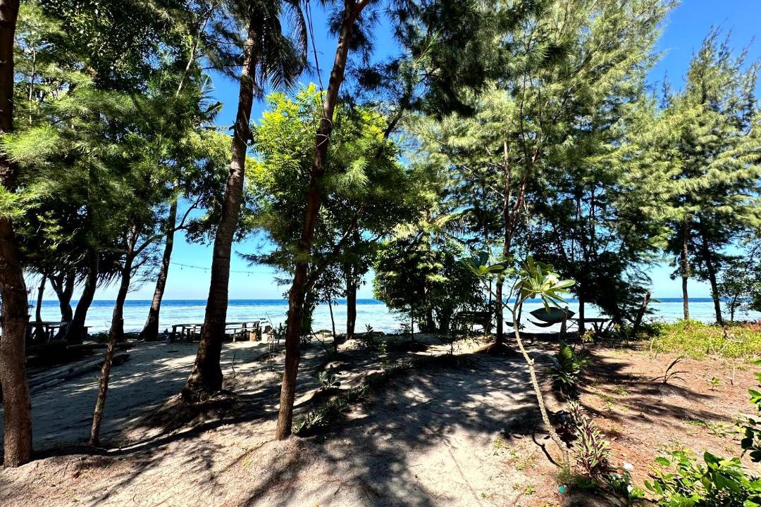 Photo of Others in Thousand Islands