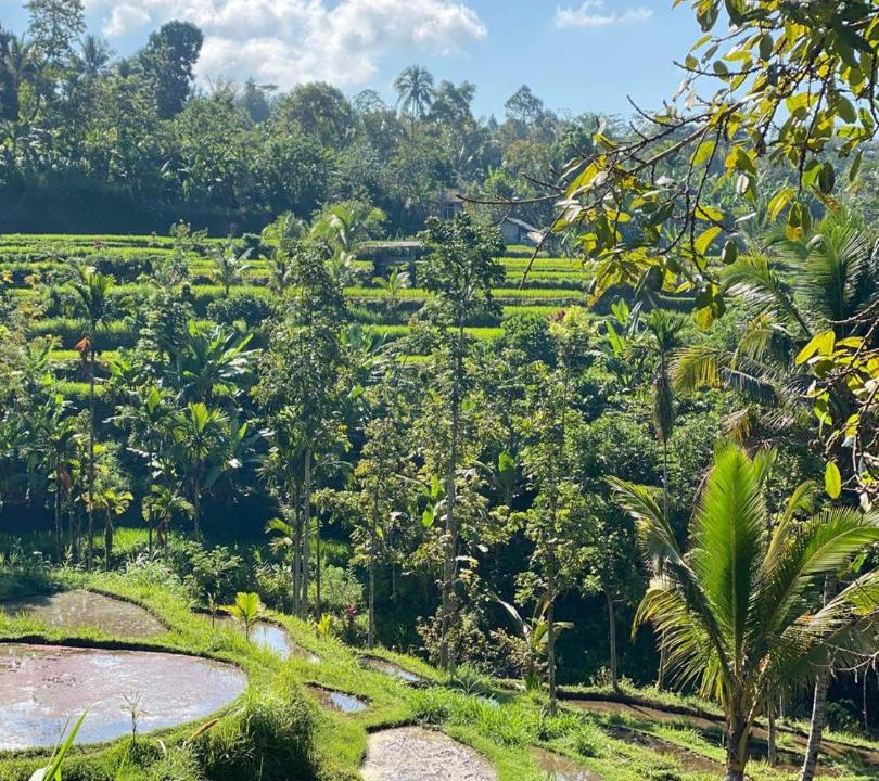 Photo of Others in Tetebatu