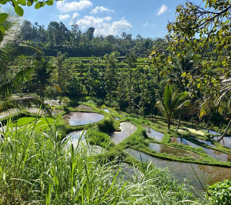 Photo of Others in Tetebatu