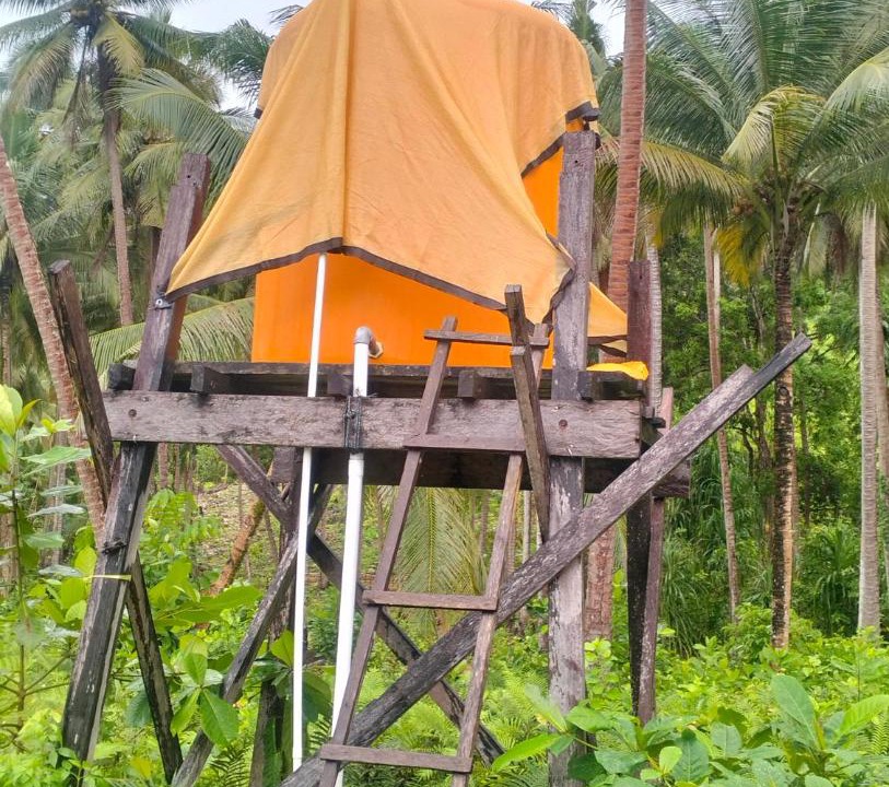 Photo of Others in Mansuar Island