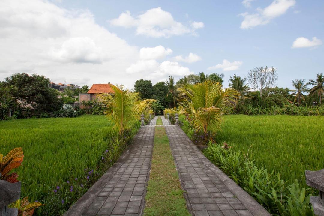 Photo of Others in Ubud City-Centre