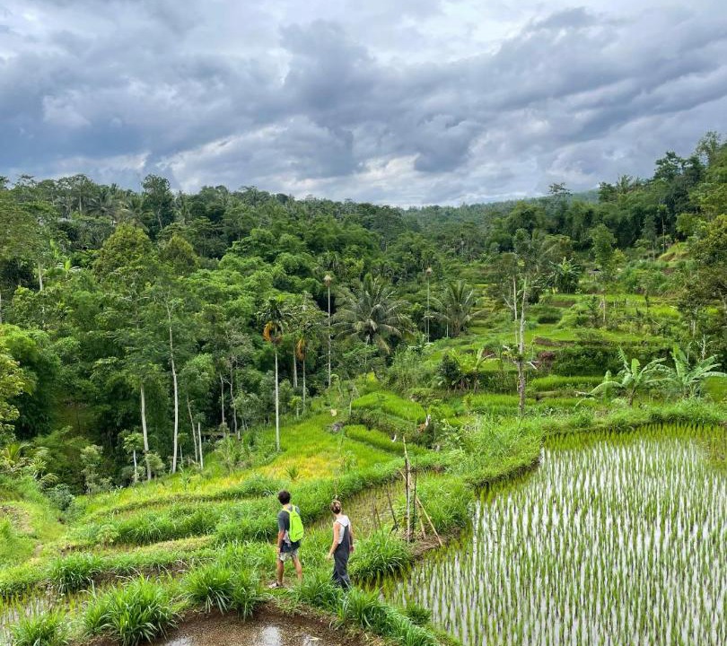 Photo of Others in Tetebatu