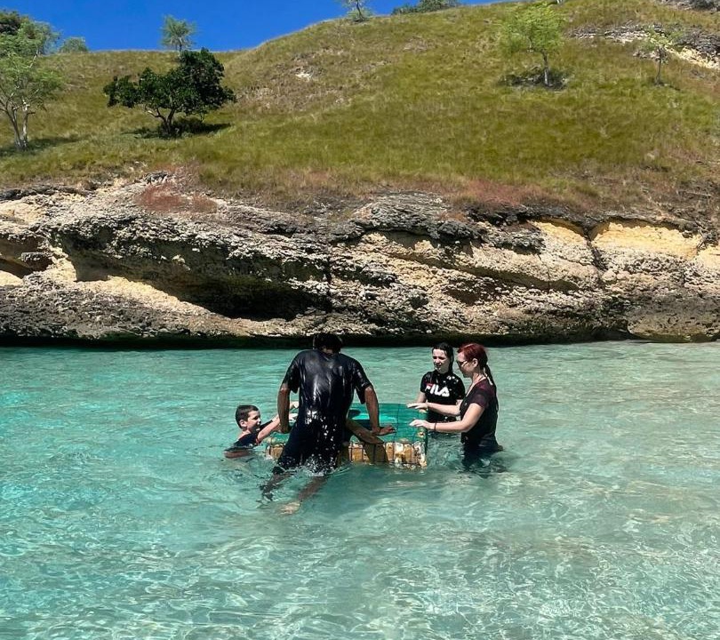 Photo of Others in Komodo