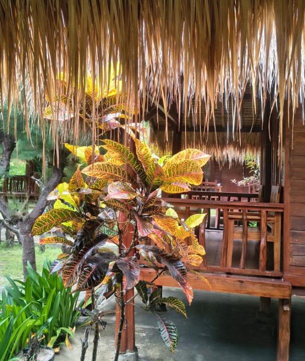 Photo of Others in Gili Gede