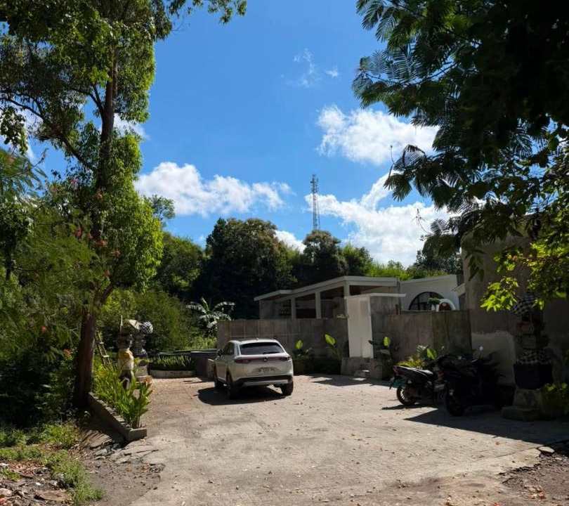 Photo of Others in Kintamani