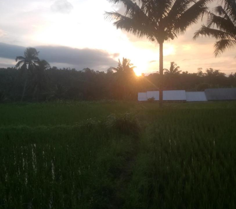 Photo of Others in Tetebatu