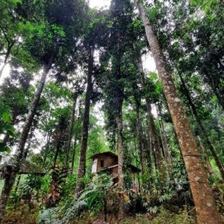 Photo of Others in Pasirjambu