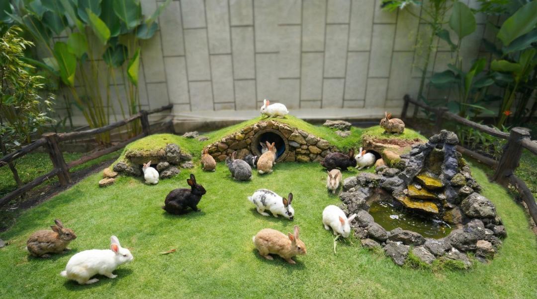 Photo of Others in Semarang