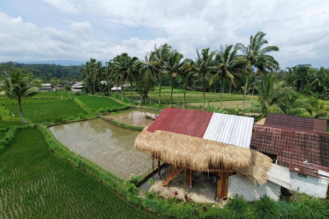Photo of Others in Tetebatu