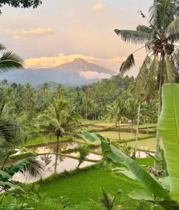 Photo of Others in Kecamatan Pringgasela