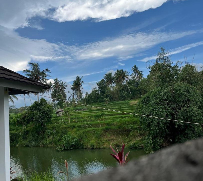 Photo of Others in Kecamatan Montong Gading