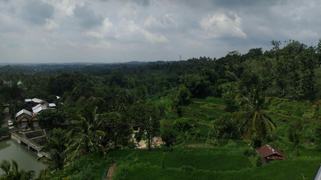 Photo of Others in Kecamatan Montong Gading