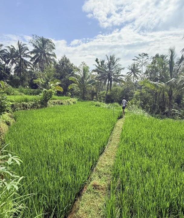 Photo of Others in Tetebatu