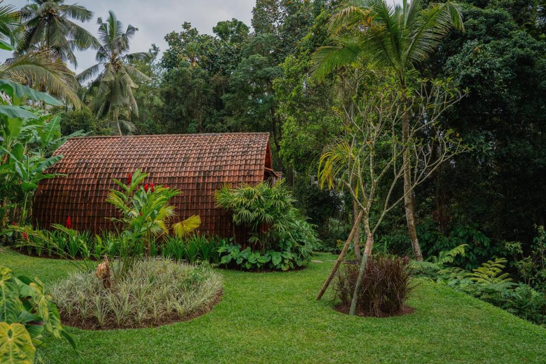 Photo of Others in Payangan