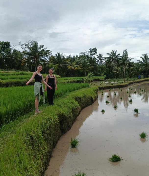 Photo of Others in Tetebatu