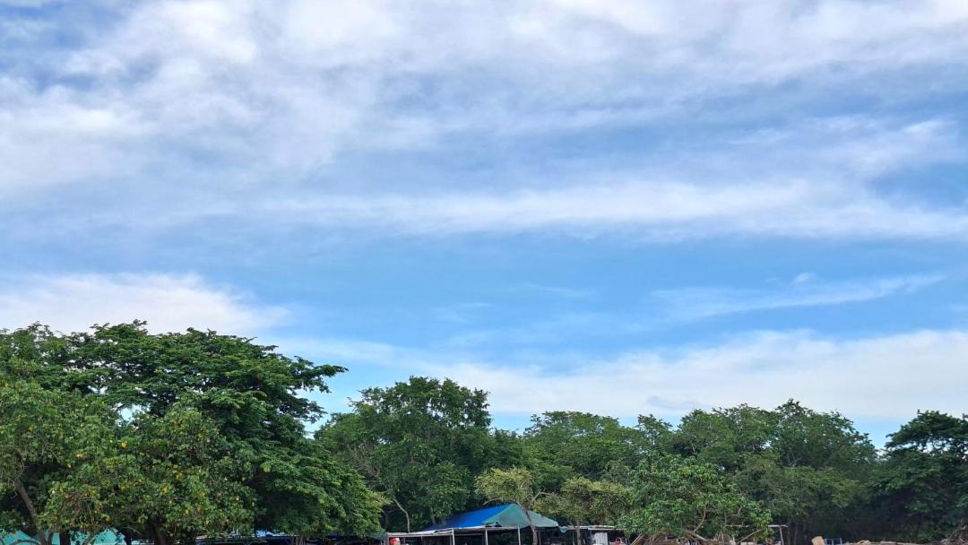 Photo of Others in Komodo