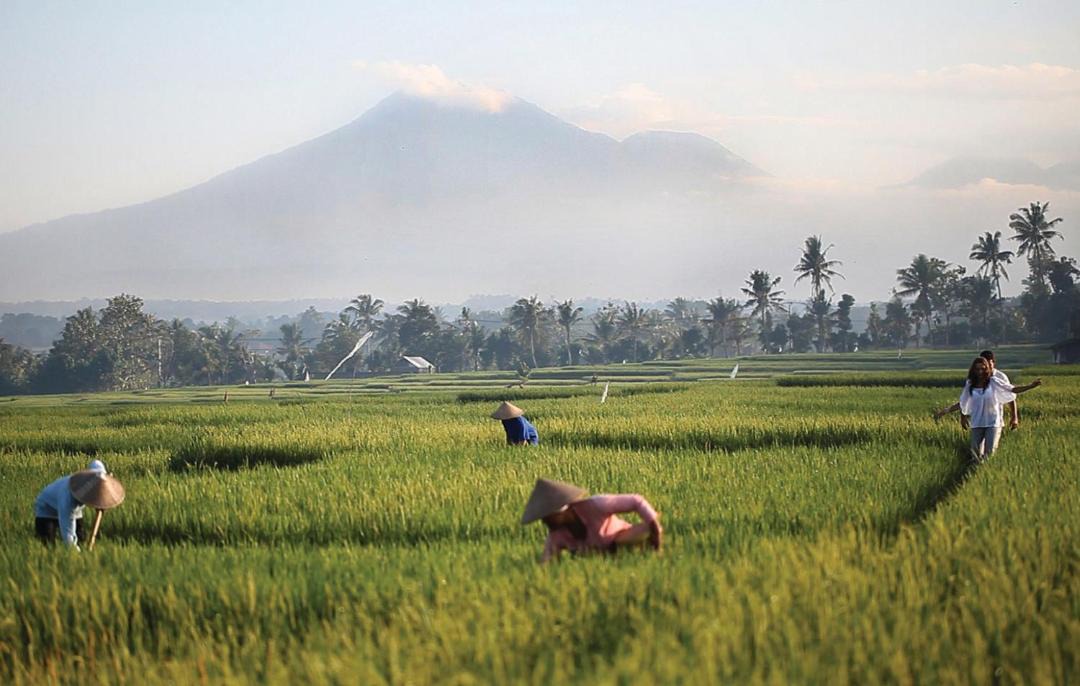 Photo of Others in Kelating