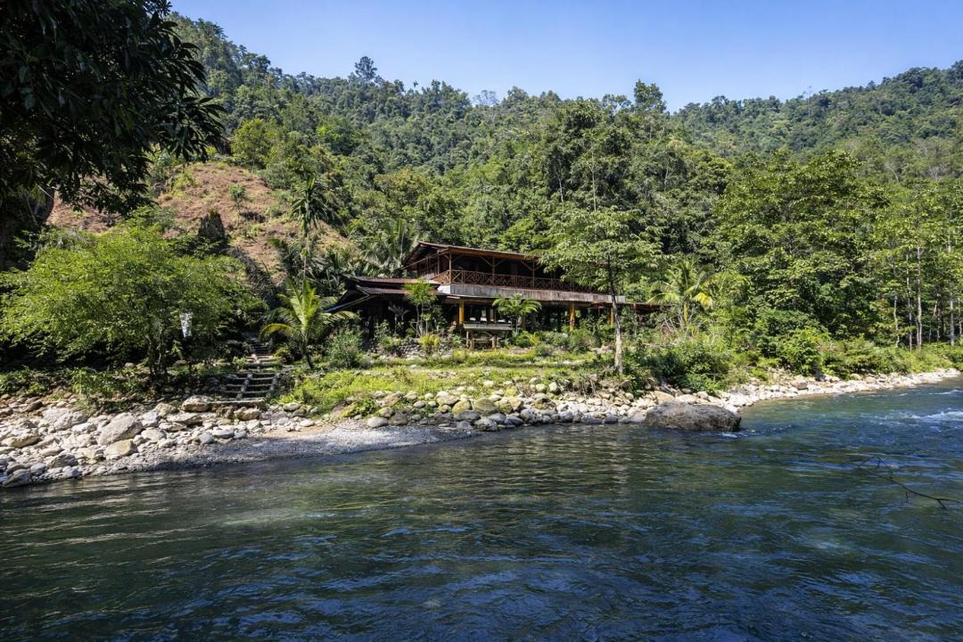 Photo of Others in Bukit Lawang