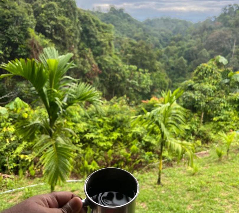 Photo of Others in Bukit Lawang