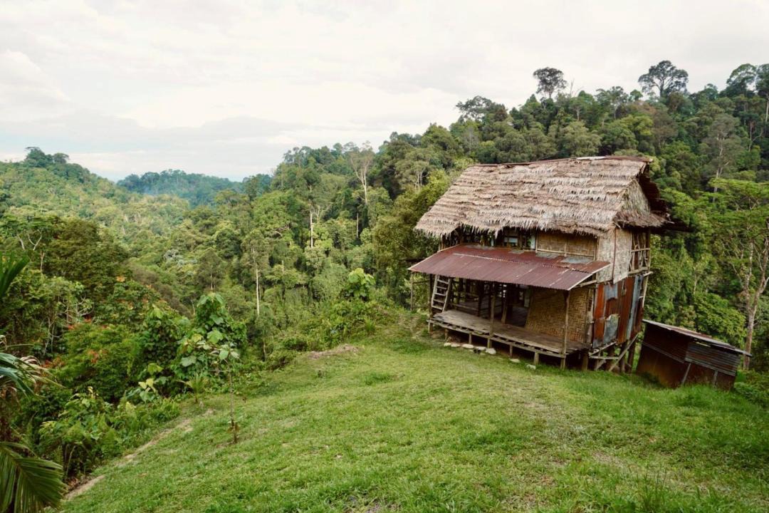 Photo of Others in Bukit Lawang