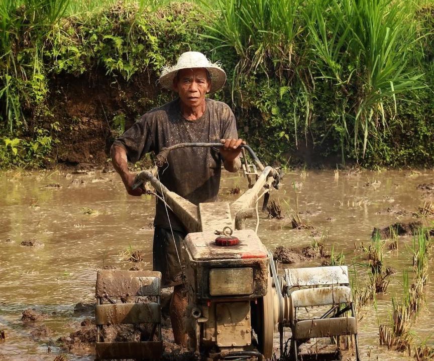 Photo of Others in Kecamatan Pringgasela