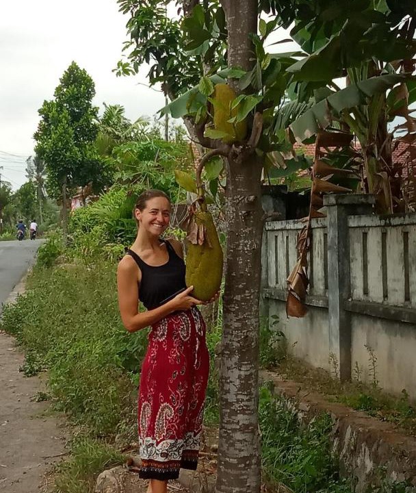 Photo of Others in Kecamatan Pringgasela