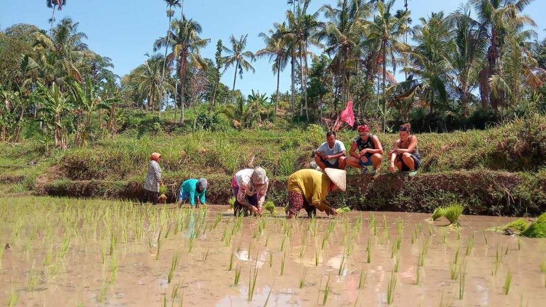Photo of Others in Kecamatan Pringgasela