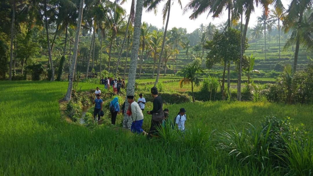 Photo of Others in Kecamatan Pringgasela