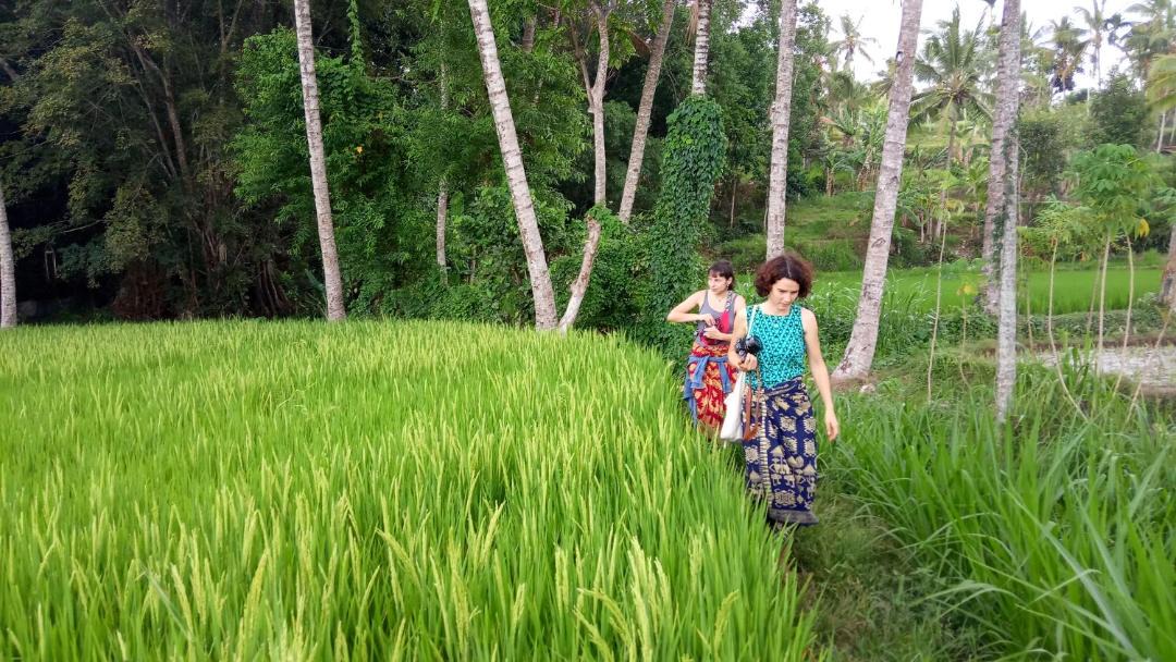 Photo of Others in Kecamatan Pringgasela