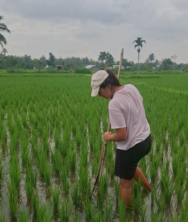 Photo of Others in Kecamatan Sikur