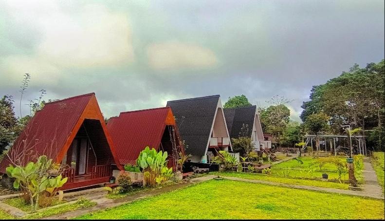 Photo of Others in Lombok