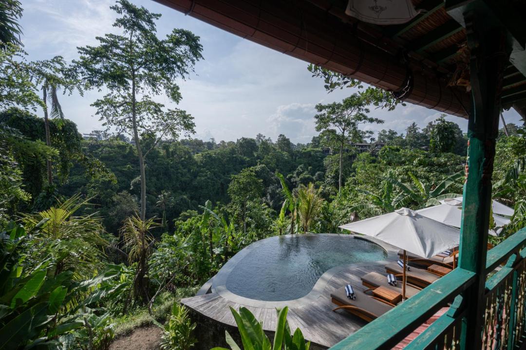 Photo of Others in Ubud