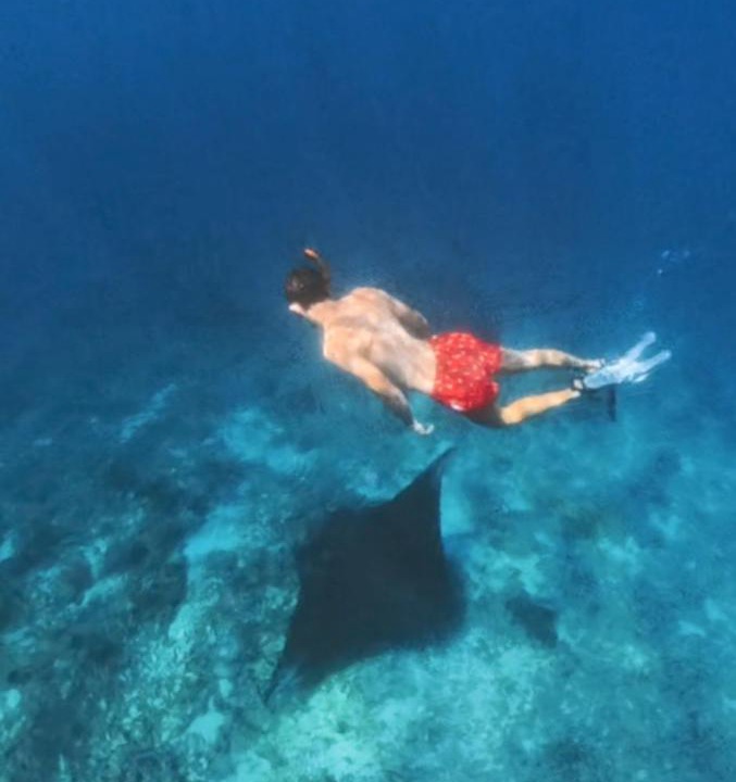 Photo of Others in Komodo