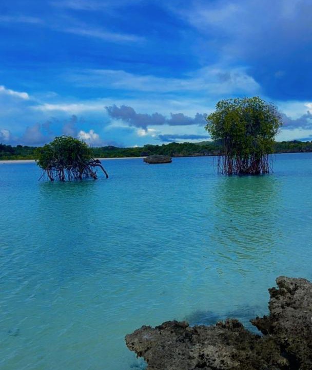 Photo of Others in Rote Island