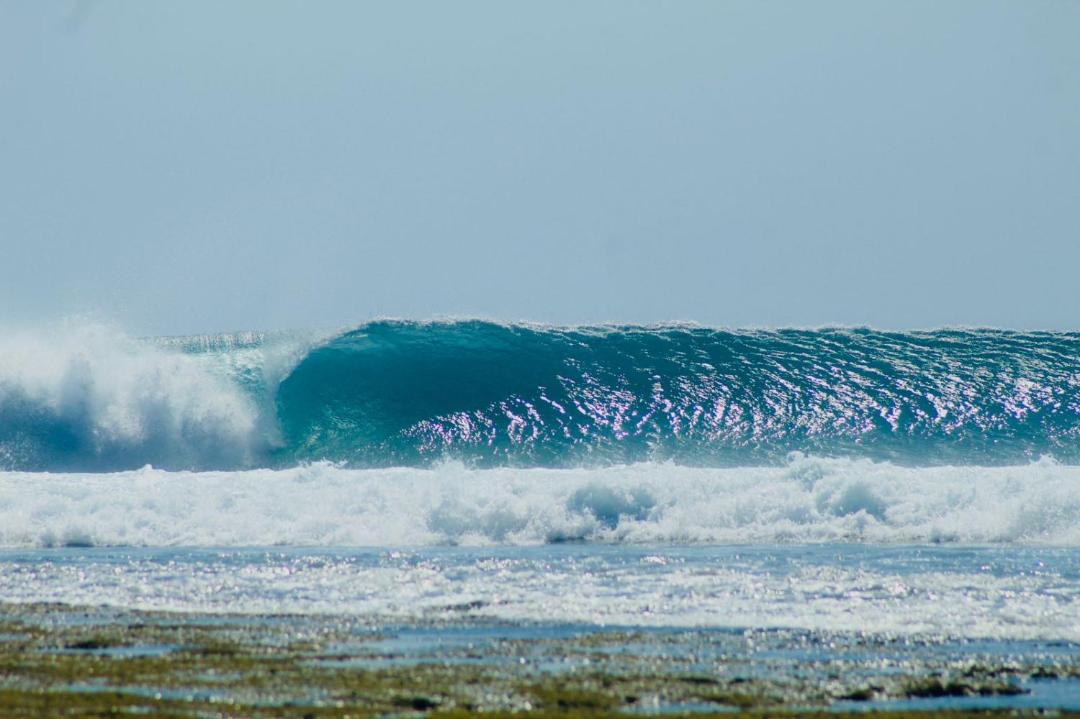 Photo of Others in Rote Island