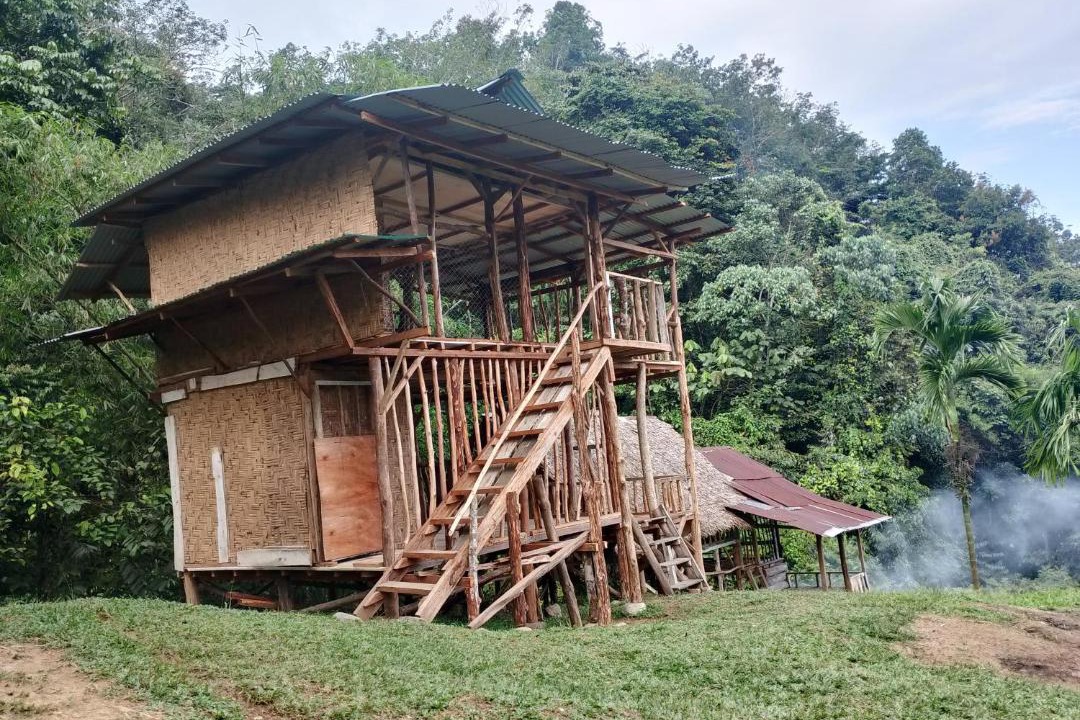 Photo of Others in Bukit Lawang