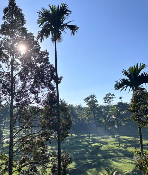 Photo of Others in Tetebatu