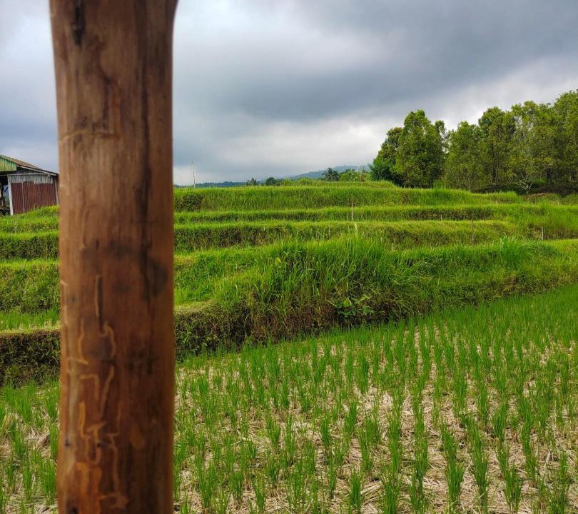 Photo of Others in Sukasada