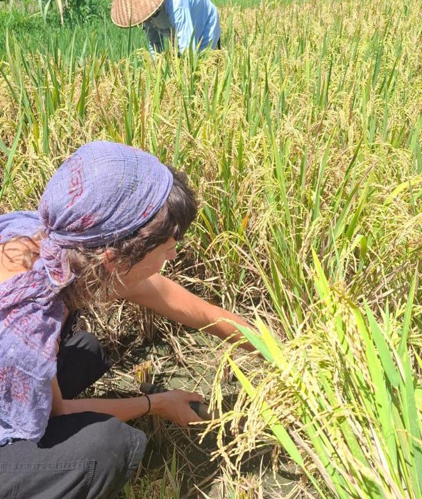 Photo of Others in Kecamatan Sikur