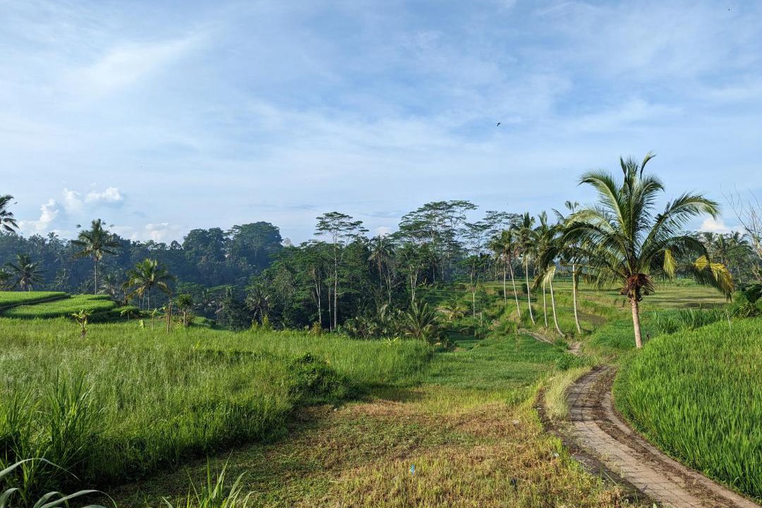 Photo of Others in Tampaksiring