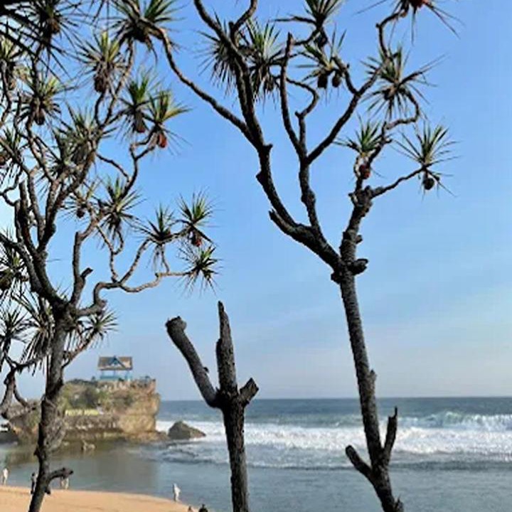 Photo of Others in Wonosari