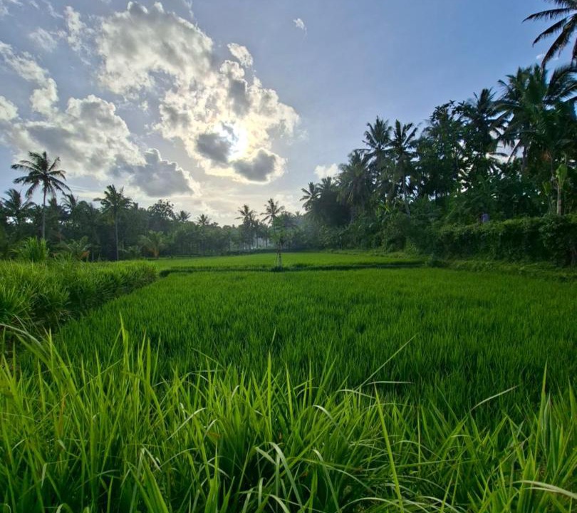 Photo of Others in Kotaraja