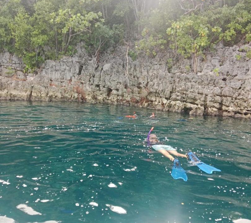 Photo of Others in Pianemo Islands