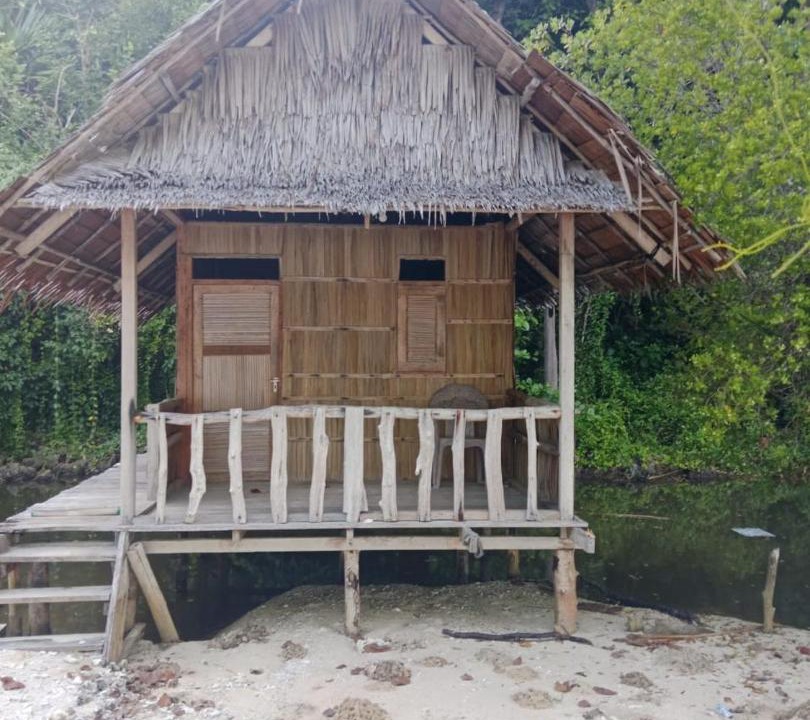 Photo of Others in Pianemo Islands