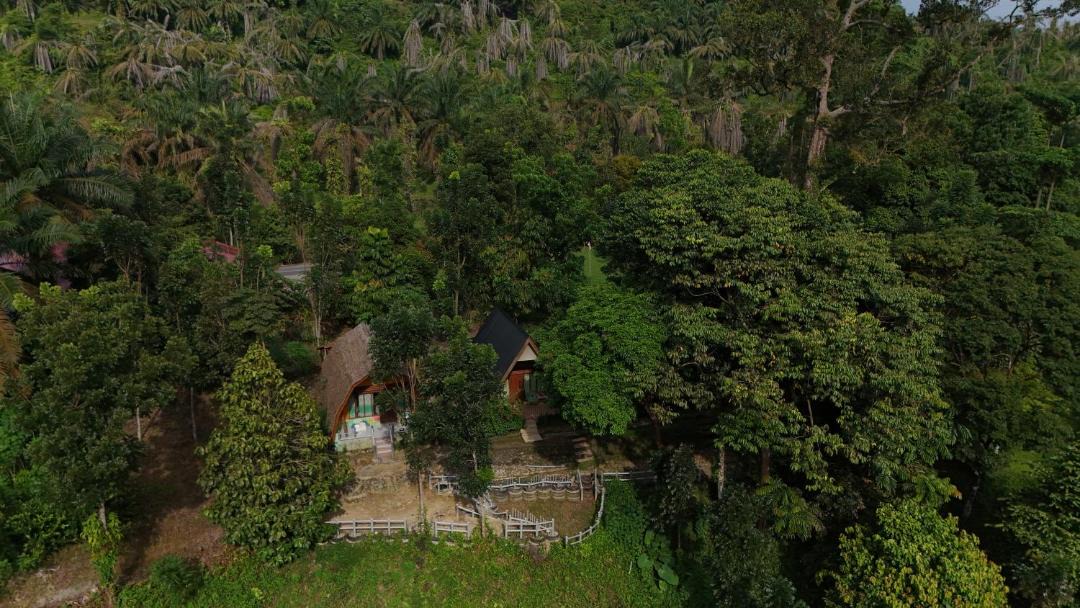 Photo of Others in Batang Serangan