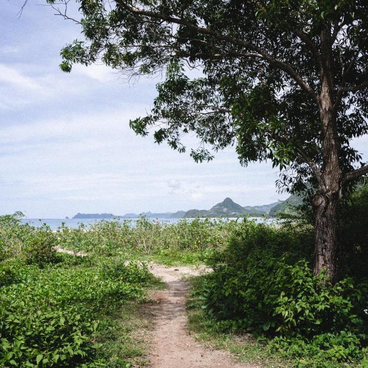 Photo of Others in Selong Belanak