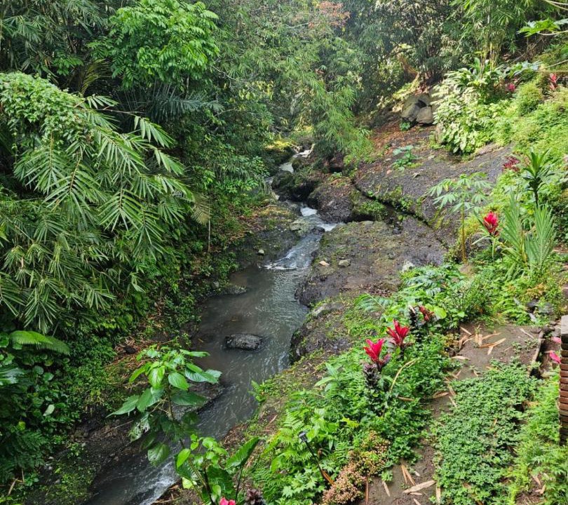 Photo of Others in Tetebatu