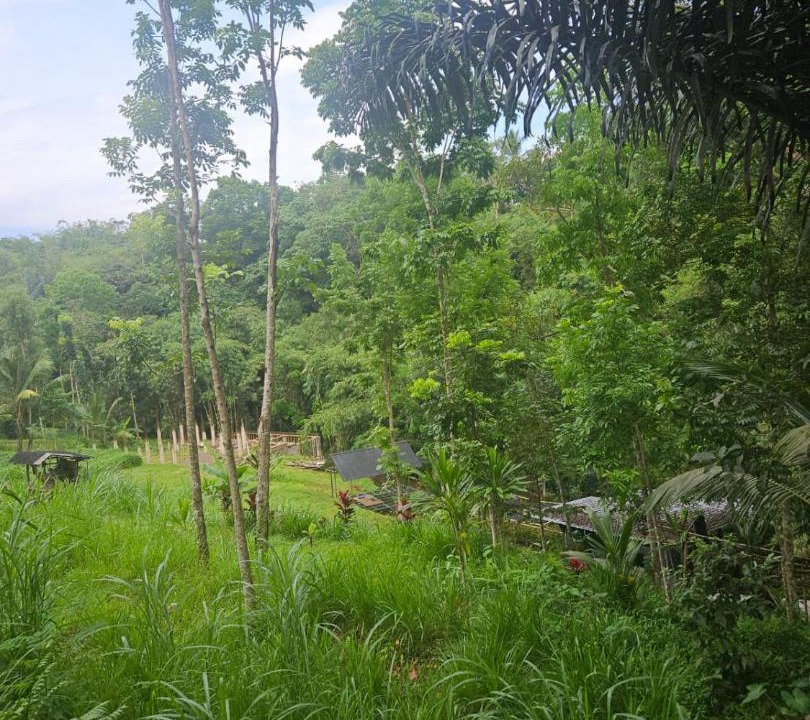 Photo of Others in Tetebatu