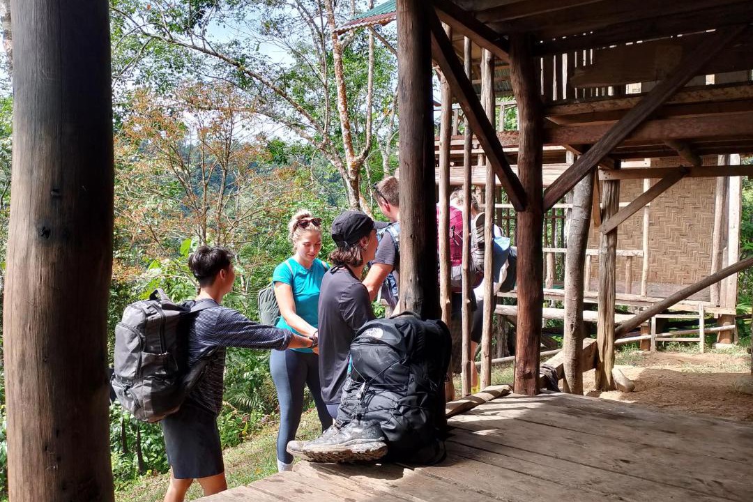 Photo of Others in Bukit Lawang